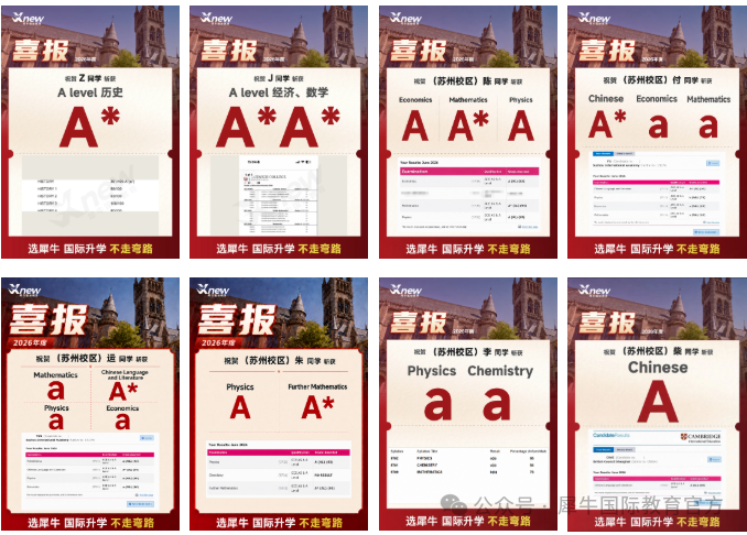国际生ALEVEL校内培优推荐犀牛教育，从E到A*，港大录取